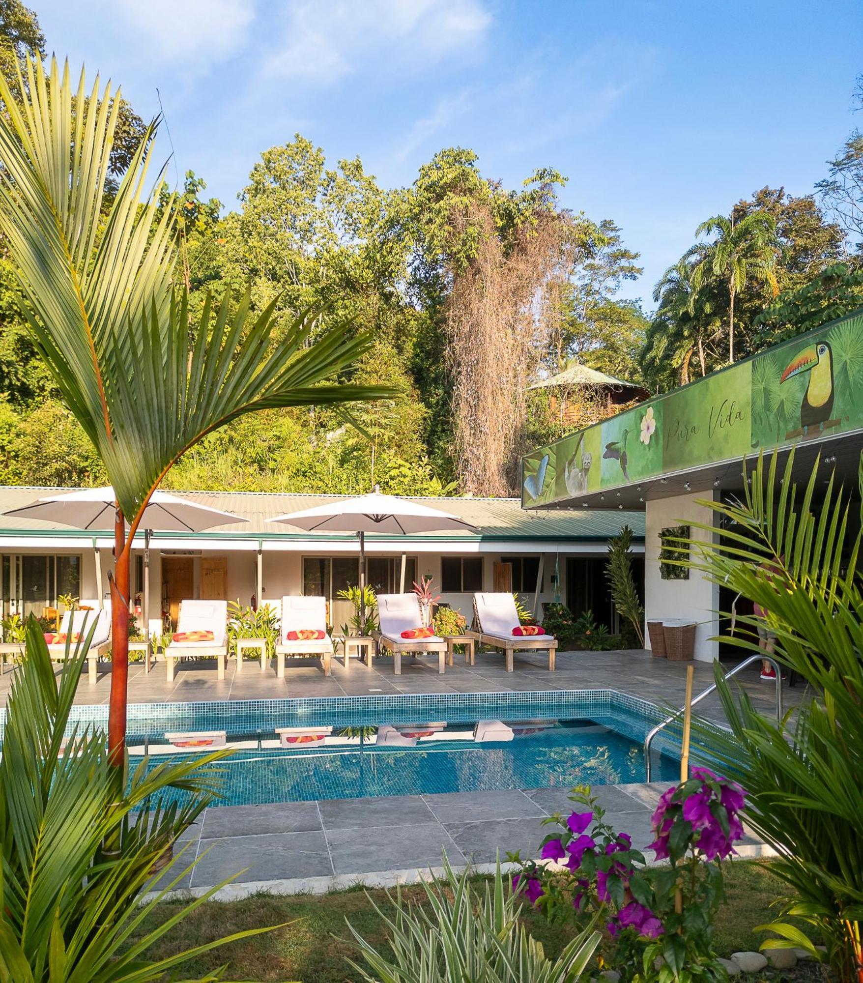Paradiselodge Jungleguesthouse Platanillo Exterior photo